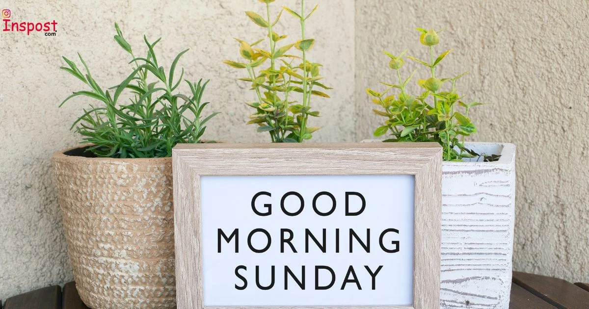 Sunday Captions
