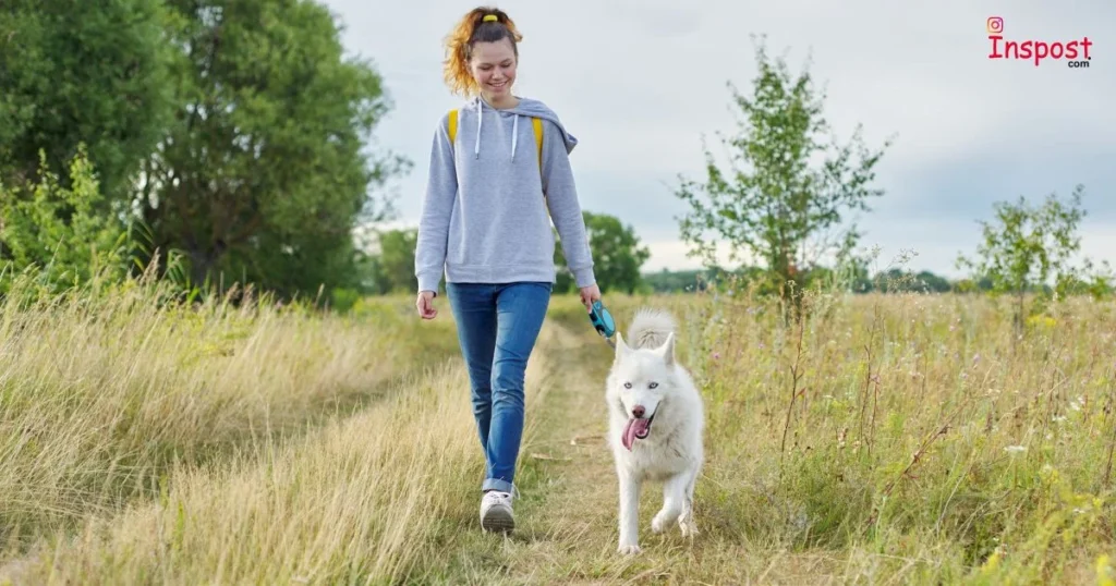 Inspirational Walking Captions