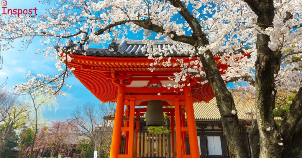 Temple Captions For Morning Visits