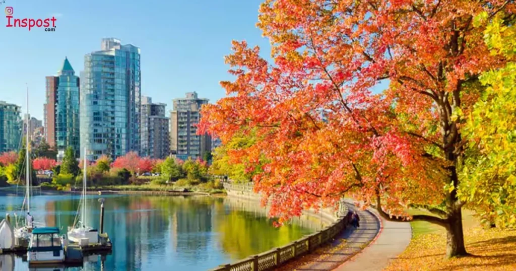 Fall Canada Captions