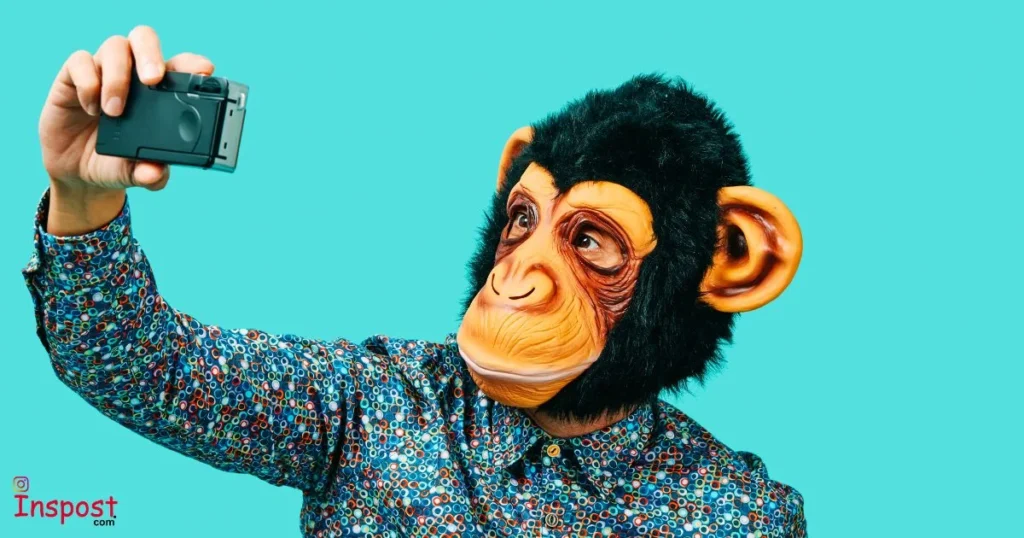 Funny Selfie Captions