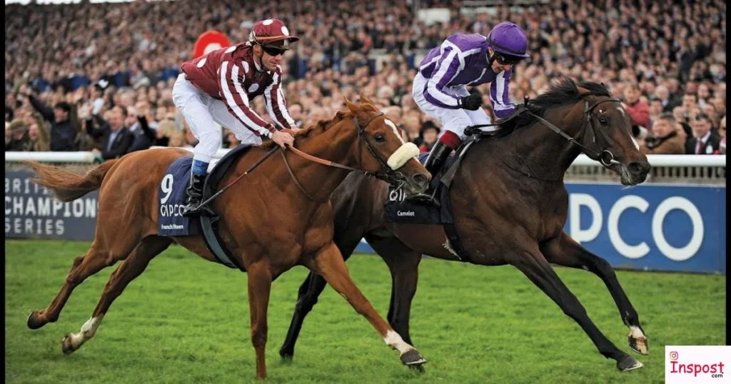 Horse Racing Captions