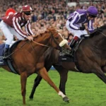Horse Racing Captions