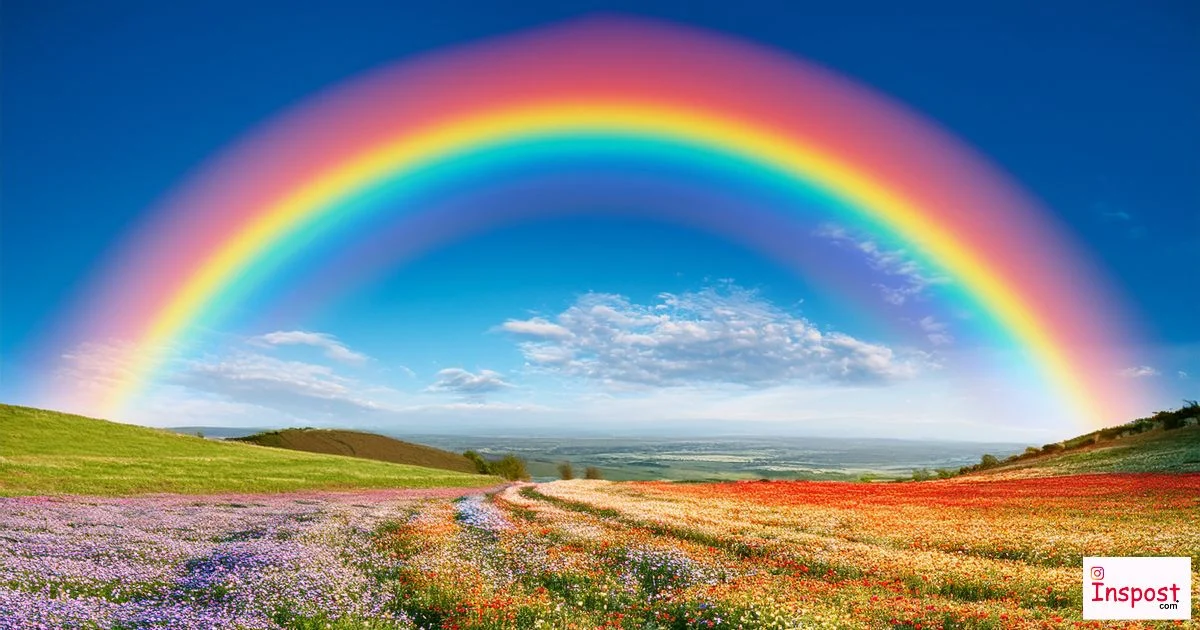 Rainbow Captions